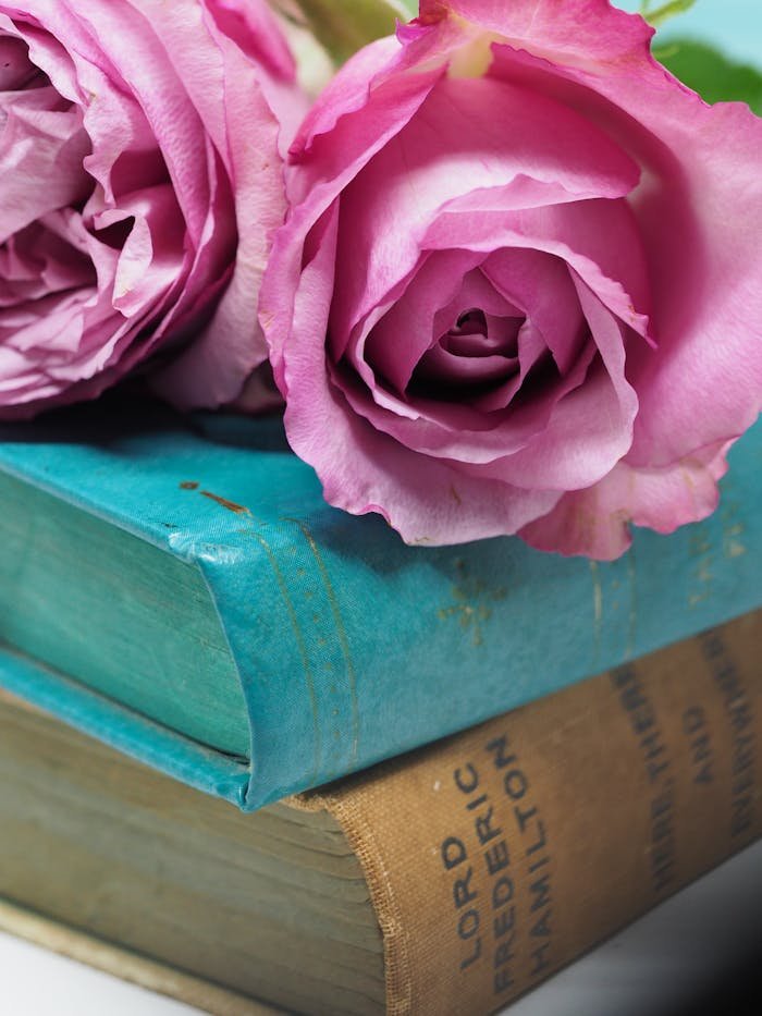 Close-up of pink roses on vintage books, symbolizing romance and nostalgia.